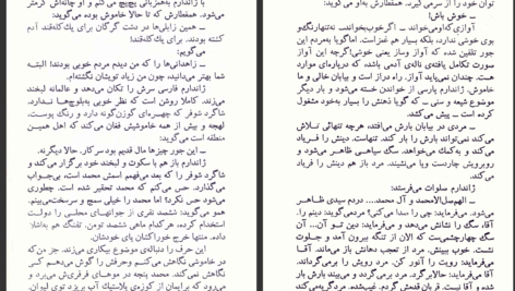 دانلود پی دی اف کتاب دیدار بلوچ محمود دولت‌آبادی PDF