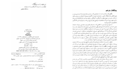 دانلود پی دی اف کتاب رگتایم ای ال دکتروف PDF