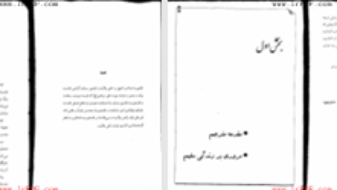 دانلود پی دی اف کتاب الفبای شیعه و سری از اسرار آل محمد سلیم بن قسیس هلالی PDF