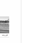دانلود پی دی اف کتاب سرطان بهترین رویداد زندگی من سالی جنکینز PDF