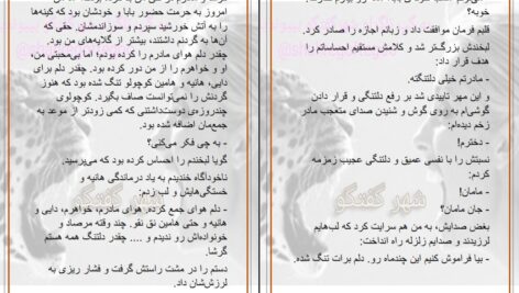 دانلود پی دی اف کتاب آخرین شبگیر مهدیه سیف الهی PDF