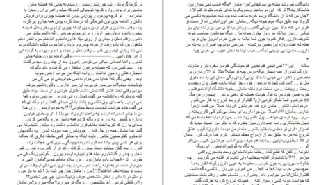دانلود پی دی اف کتاب باغ عشق اشکان ایرمنی PDF