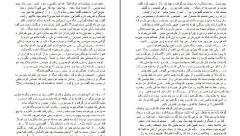 دانلود پی دی اف کتاب باغ عشق اشکان ایرمنی PDF