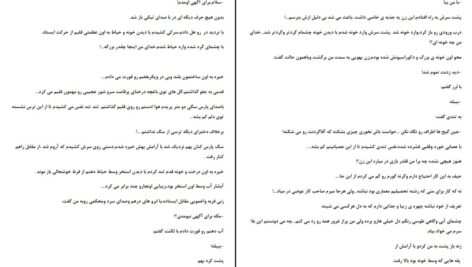دانلود پی دی اف کتاب بغض همیشگی زهرا نبی لو PDF