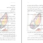 دانلود پی دی اف کتاب هکر قلب مهلا علی راد PDF