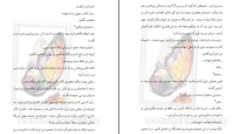 دانلود پی دی اف کتاب هکر قلب مهلا علی راد PDF