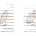 دانلود پی دی اف کتاب هکر قلب مهلا علی راد PDF