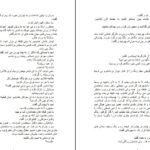 دانلود پی دی اف کتاب پرنده ای که پرواز کرد مهدی 22 PDF