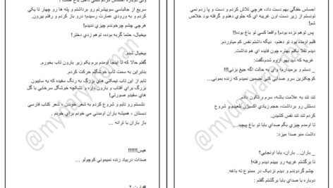 دانلود پی دی اف کتاب سرزمین بدون عشق نیلوفر PDF