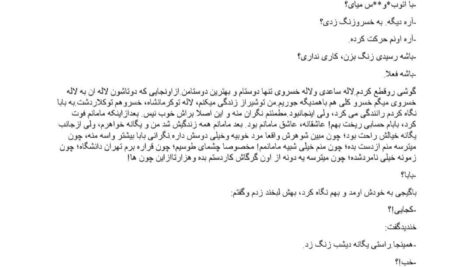 دانلود پی دی اف کتاب استاد دوست داشتنی من از فاطمه تاجیک PDF