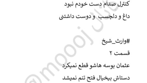 دانلود پی دی اف کتاب وارث شیخ جلد دوم PDF