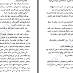 دانلود پی دی اف کتاب استراتژی تلخ دنیرا PDF