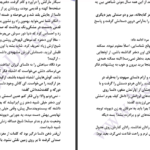دانلود پی دی اف کتاب استراتژی تلخ دنیرا PDF