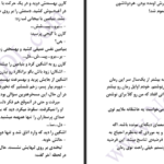 دانلود پی دی اف کتاب استراتژی تلخ دنیرا PDF