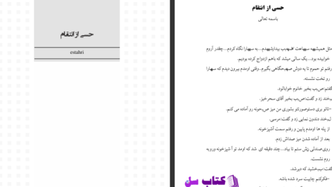 دانلود پی دی اف کتاب حسی از انتقام استخری PDF