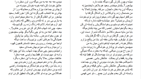 دانلود پی دی اف کتاب آرامش گم شده PDF