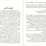 دانلود پی دی اف کتاب آزردگان داستایوفسکی جلد دوم PDF