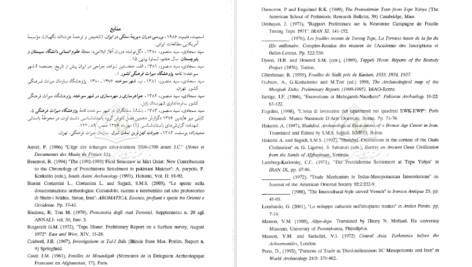 دانلود پی دی اف کتاب آغاز شهرنشینی در نیمه شرقی فلات ایران منصور سیدسجادی PDF