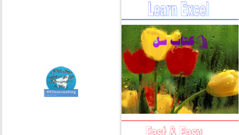 دانلود پی دی اف کتاب آموزش اکسل سریع و راحت جوزف روبین PDF