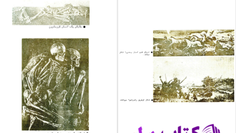 دانلود پی دی اف کتاب از میمون تا انسان فریدون شایان PDF