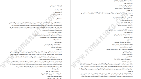 دانلود پی دی اف کتاب از یاد رفته نسرین ثامنی PDF