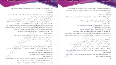 دانلود پی دی اف کتاب جدال نهایی جلد پایانی رمان لیانا زهرا باقری PDF