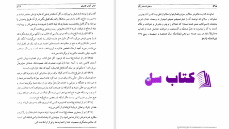 دانلود پی دی اف کتاب دعائم الاسلام جلد دوم عبدالله امیدوار PDF