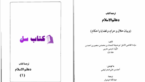 دانلود پی دی اف کتاب دعائم الاسلام عبدالله امیدوار PDF