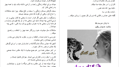 دانلود پی دی اف کتاب روزهای نیمه ابری الف_صادقی PDF
