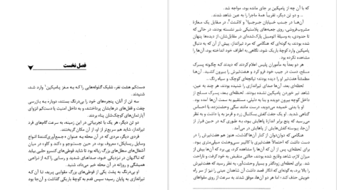 دانلود پی دی اف کتاب شاه زیانکاران جان گریشام PDF