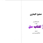 دانلود پی دی اف کتاب صحیح البخاری جلد یک عبدالعلی نور احراری PDF
