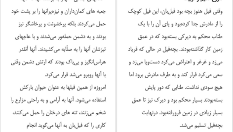 دانلود پی دی اف کتاب فقط ساکت شو و کارت رو انجام بده برایان تریسی PDF