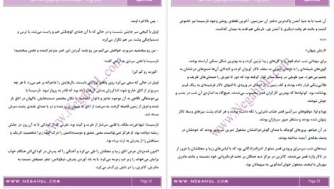 دانلود پی دی اف کتاب لیانا زهرا باقری PDF
