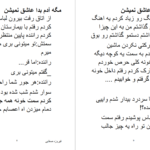 دانلود پی دی اف کتاب مگه آدم بدا عاشق نمیشن فیروزه صفایی PDF