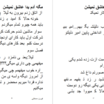 دانلود پی دی اف کتاب مگه آدم بدا عاشق نمیشن فیروزه صفایی PDF
