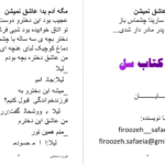 دانلود پی دی اف کتاب مگه آدم بدا عاشق نمیشن فیروزه صفایی PDF