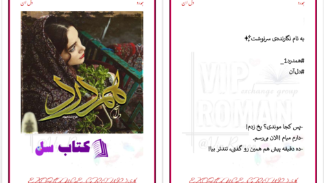 دانلود پی دی اف کتاب همدرد دلان سادات موسوی PDF