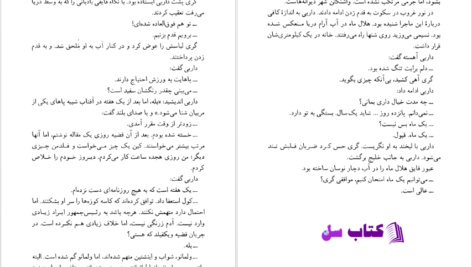دانلود پی دی اف کتاب پرونده پلیکان جان گریشام PDF