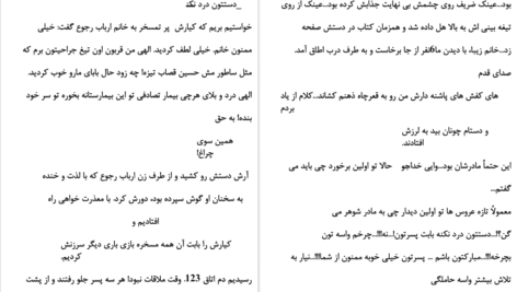 دانلود پی دی اف کتاب پسران شاه دختران گدا امیر فرهی PDF