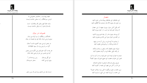 دانلود پی دی اف کتاب چکامه های گزیده هوشنگ ابتهاج PDF