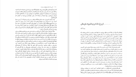 دانلود پی دی اف کتاب کسی که مثل هیچ کس نیست پوران فرخ نژاد PDF