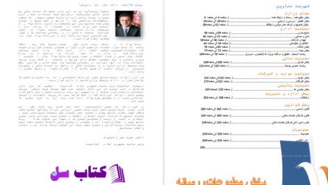 دانلود پی دی اف کلید سوالات مدیریت تخنیکی وزارت مالیه PDF
