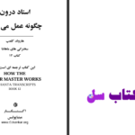 دانلود پی دی اف کتاب استاد درون چگونه عمل میکند هارولد کلمپ PDF