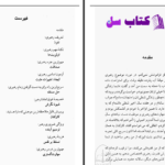دانلود پی دی اف کتاب پرورش رهبر درون جان سی مکسول PDF