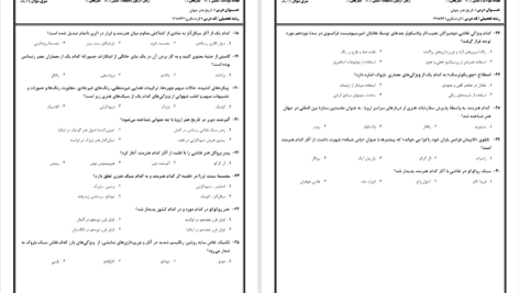 دانلود پی دی اف جزوه تاریخ هنر جهان PDF