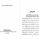 دانلود پی دی اف کتاب ترس بزرگ پرویز قاضی سعید PDF